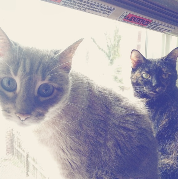 Shopping. All. The. Time. - Picture 2 of 4